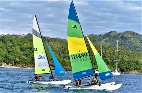 Кошки-хоби в действии в Сибуяне, Ромблон