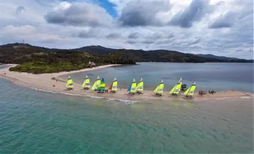 Кошки-хоби на пляже Бонбон в Ромблоне