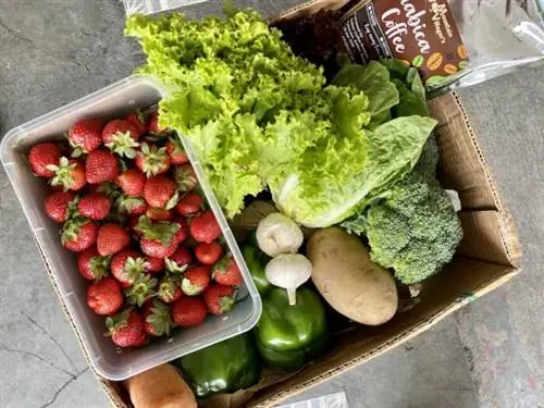 Покупайте свежие фрукты и овощи онлайн через приложение Session Groceries