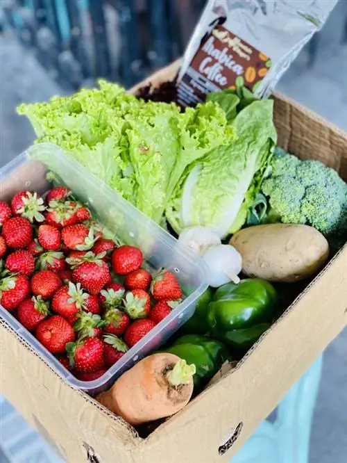 Доставка свежих фруктов и овощей через приложение Session Groceries