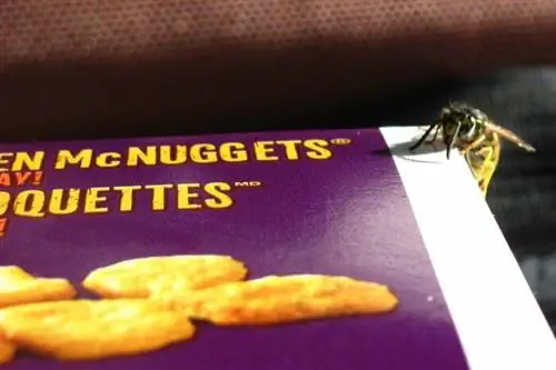 Возьмите с собой средство от насекомых