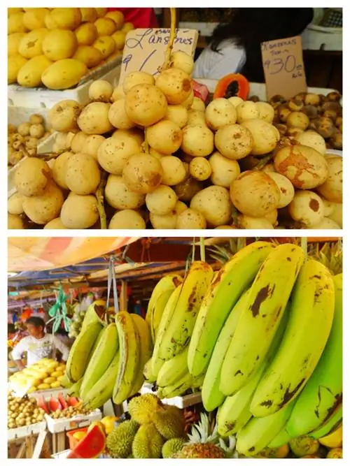 Свежие фрукты в Дипологе