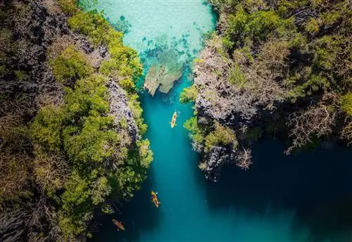 Как спланировать свои будущие поездки после окончания пандемии Covid-19