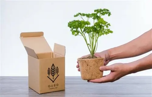 Стартовый набор для садоводства