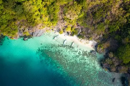 Авиаперелет после пандемии COVID-19: куда я поеду?