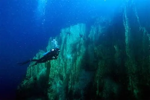 Озеро Барракуда