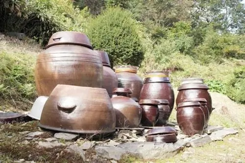 Корейские баночки