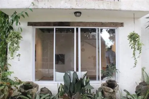 Вид из Художественного музея Пинто