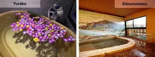 Отдых в частном горячем источнике