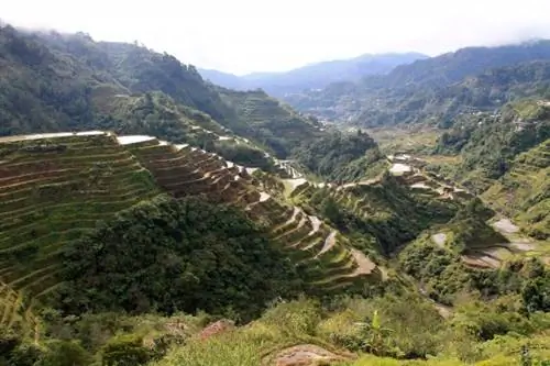 Рисовые террасы Банауэ