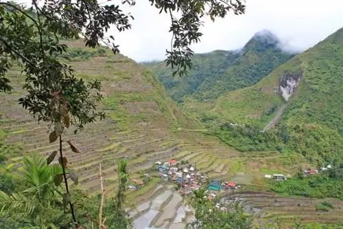 Рисовые террасы Батад