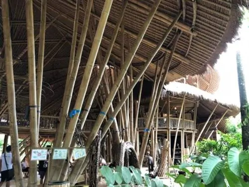 Кампус Зеленой школы на Бали