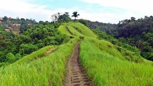 Прогулка по хребту Кампухан через Tripadvisor