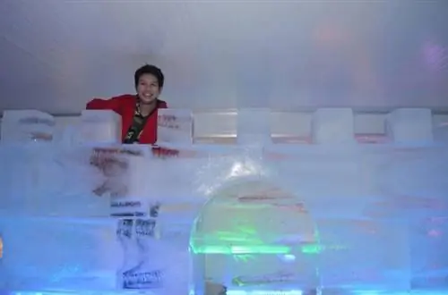 Приключение Дилана в ледяном замке