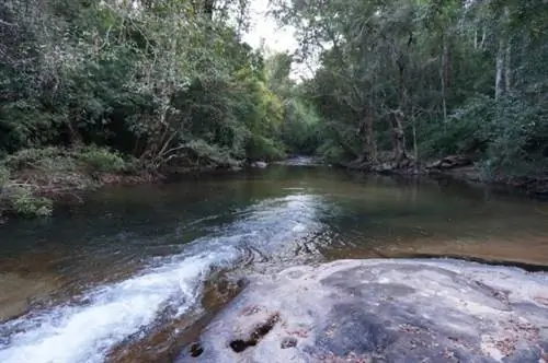 Национальный парк Вирачей на Facebook Страница Save Virachey National Park