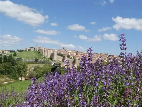 Наиболее сохранившиеся стены Авилы