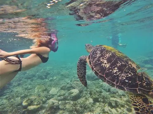 Cebu Pacific продвигает филиппинский туризм с помощью кампании «Хуан Лав»