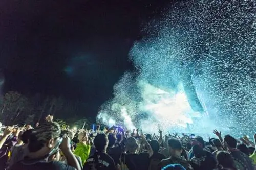 Рок-фестиваль Фудзи