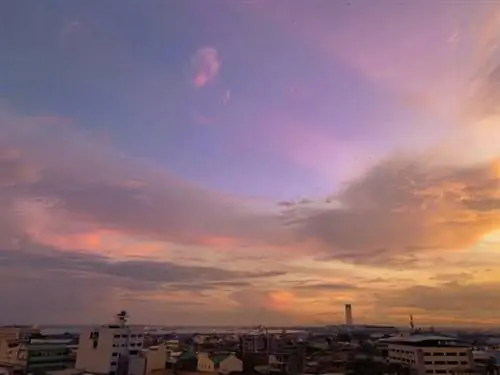 Вид на закат из вестибюля