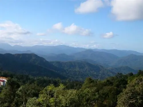 Туманное утро в Кэмерон-Хайлендс