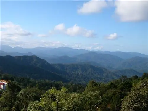 8 лучших развлечений в Кэмерон Хайлендс