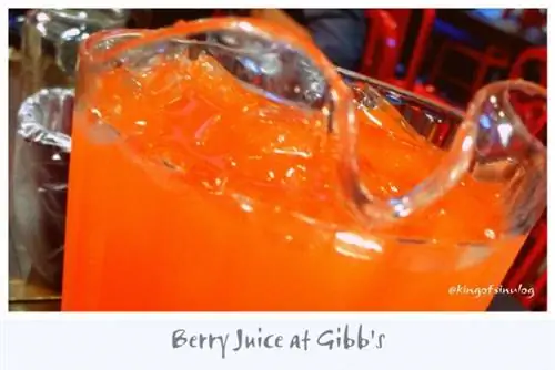 Ягодный сок в Gibb's