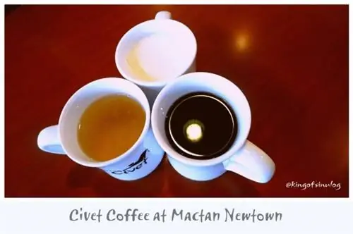 Civet Coffee в Мактане, Ньютаун