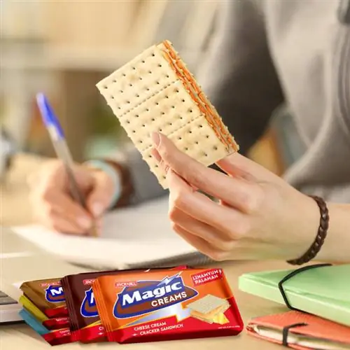 Сырный крем Magic Creams - простые способы помочь сохранить энергию