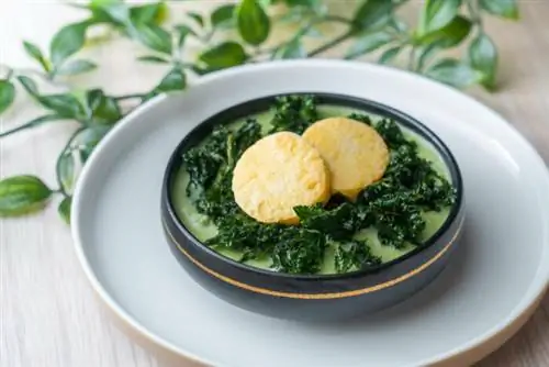 Волшебник брокколи - брокколи, яйца на пару, тофу, заливная кукуруза, эдамаме