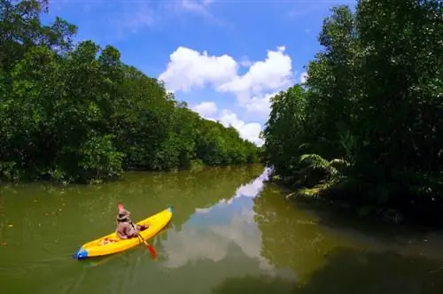 Река Джейсон в Эль-Нидо