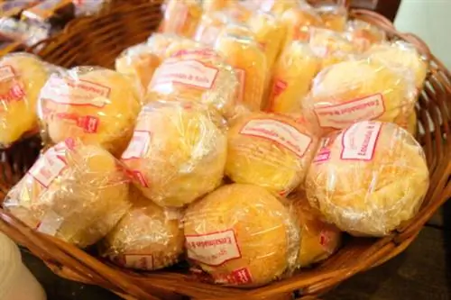 Бискочо Хаус Энсаймада