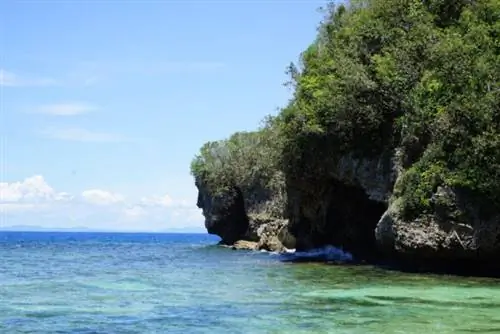 Найдите лицо Иисуса на пляже Талисой.