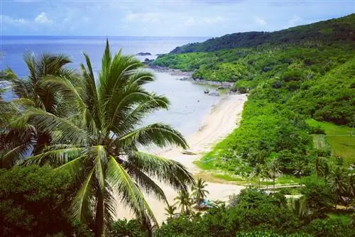 11 красивых пляжей в Катандуанесе, которые обязательно стоит посетить (плюс как туда добраться)