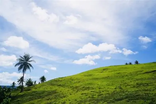 Палестина Роллинг Хиллз