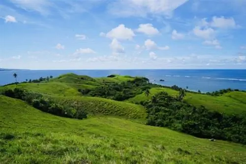 Палестина Холмы на острове Панай