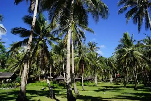 Кумагат Бич Резорт