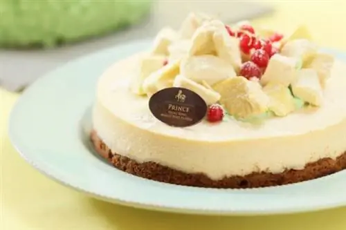 add@Prince Послеобеденный чай Чизкейк с дурианом