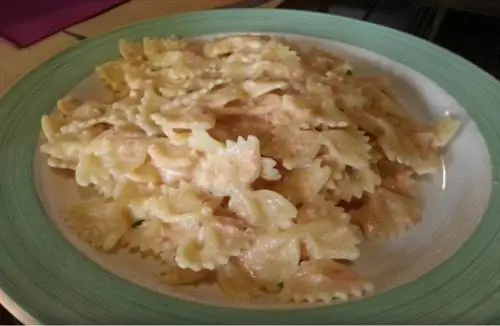 Тарелка во Флоренции