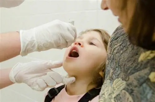 Фото сертификата вакцины против полиомиелита через ЮНИСЕФ Украина