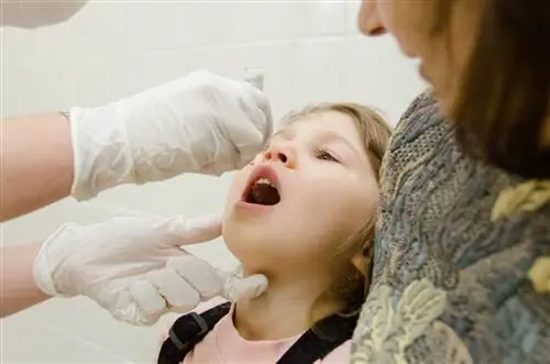 Путешествуя заграницей? Шаги, которые следует выполнить при получении сертификата вакцины против полиомиелита