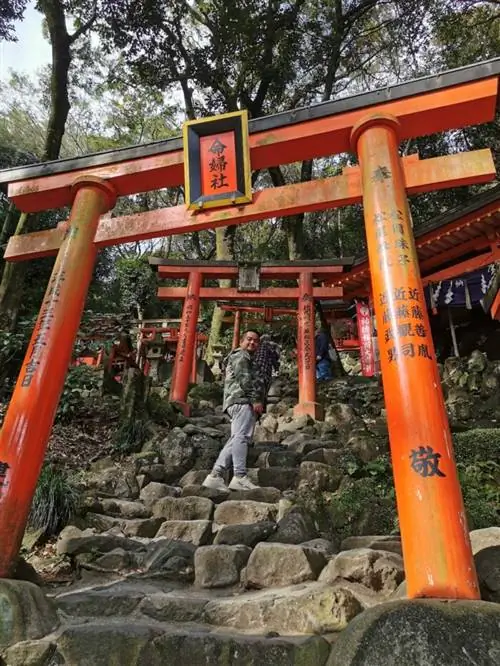 Ворота Тории, крытая дорожка, ведущая на холм от главного зала