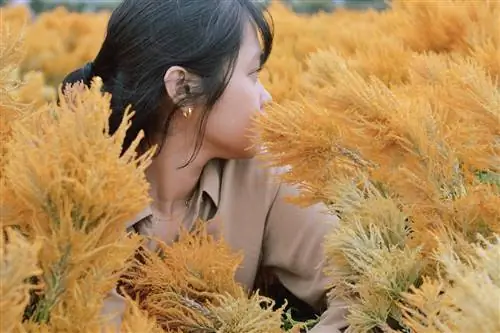 5-дневный маршрут на Тайване: район Бэйтоу, ночной рынок Гуанчжоу, мемориальный зал Чан Кайши плюс советы по передвижению