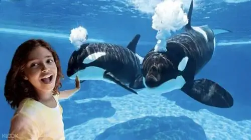Фотография билета Sea World в Сан-Диего через KLOOK Фотография билета Sea World в Сан-Диего через KLOOK