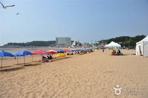 Фотография пляжа Ырванни с сайта VisitKorea.or.kr