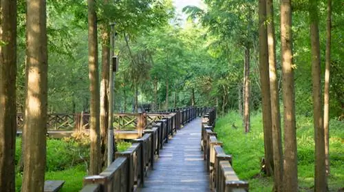 Эко-парк озера Кванджу, фото через Gwangju Tourism