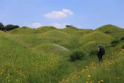 Парк древних гробниц Булло-Донг, фото с сайта Tripadvisor