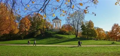 Чем заняться в Мюнхене Чем заняться в Мюнхене