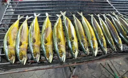 Морепродукты в Турции Морепродукты в Турции