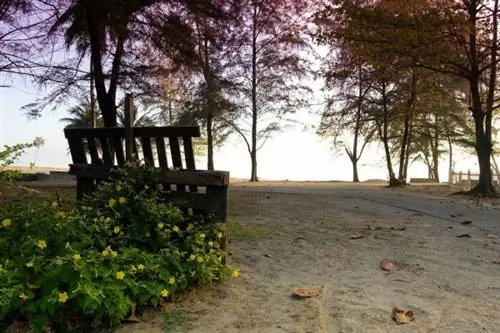 Pantai Irama, автор Рафик ХМЗ, Flickr cc Pantai Irama, автор Рафик ХМЗ, Flickr cc