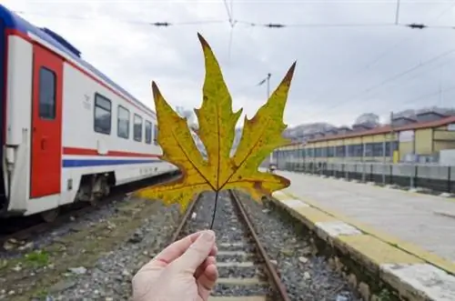 Путешествие во время школьных каникул